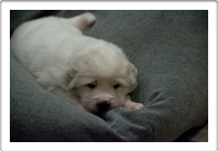 Capture One Session0270